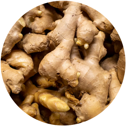 Ginger