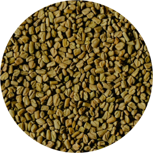 Fenugreek