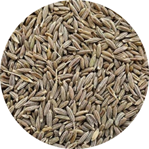 Jeera (Cumin Seeds)