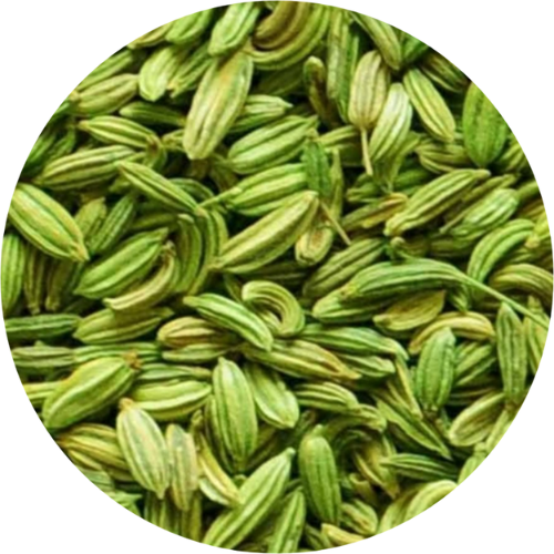 Fennel Seeds